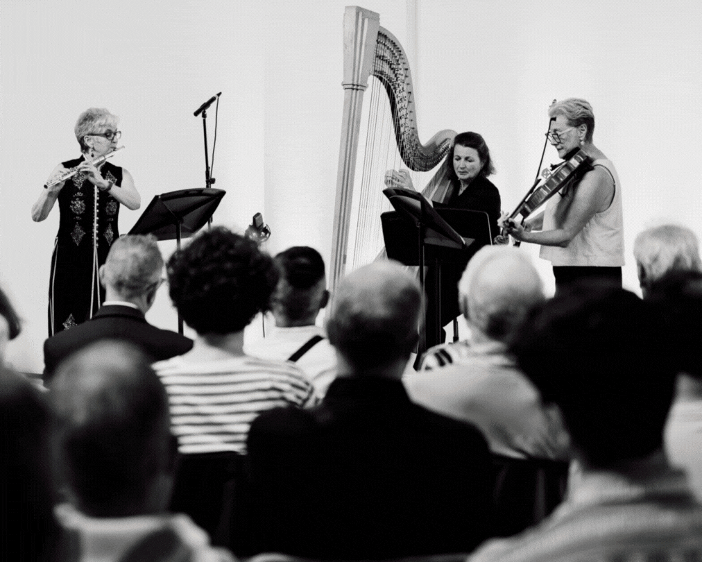 Untitled design (28).gif