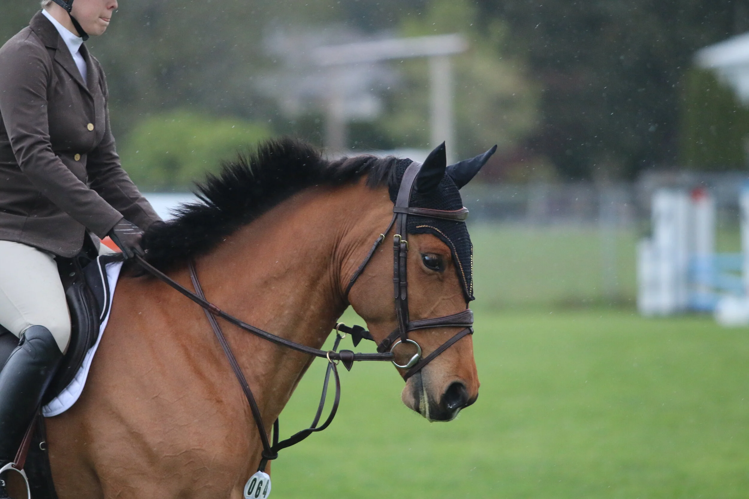 Vancouver Island Jumper Grass Field Saanich Fairgrounds