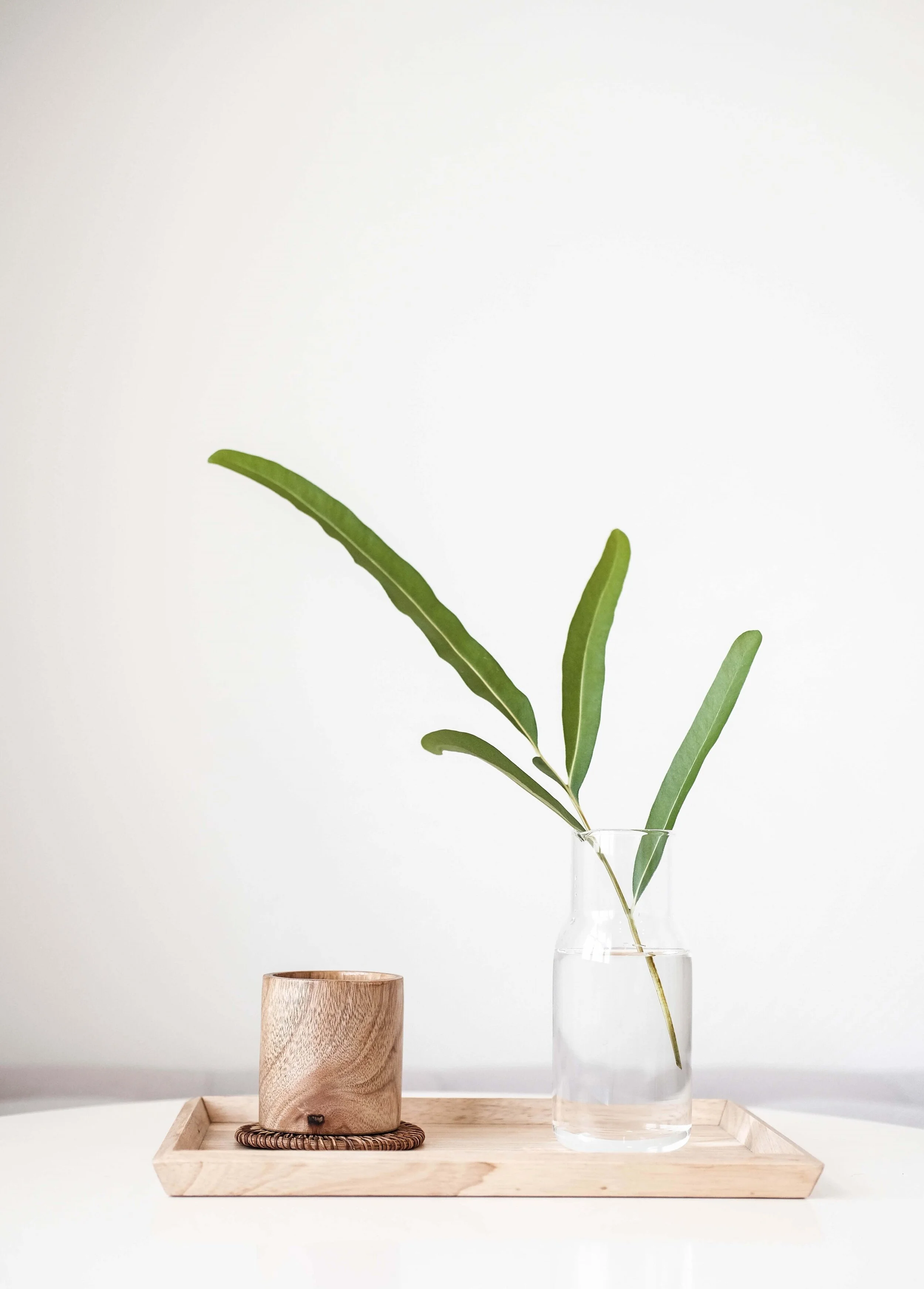 HANA Cleaning Services