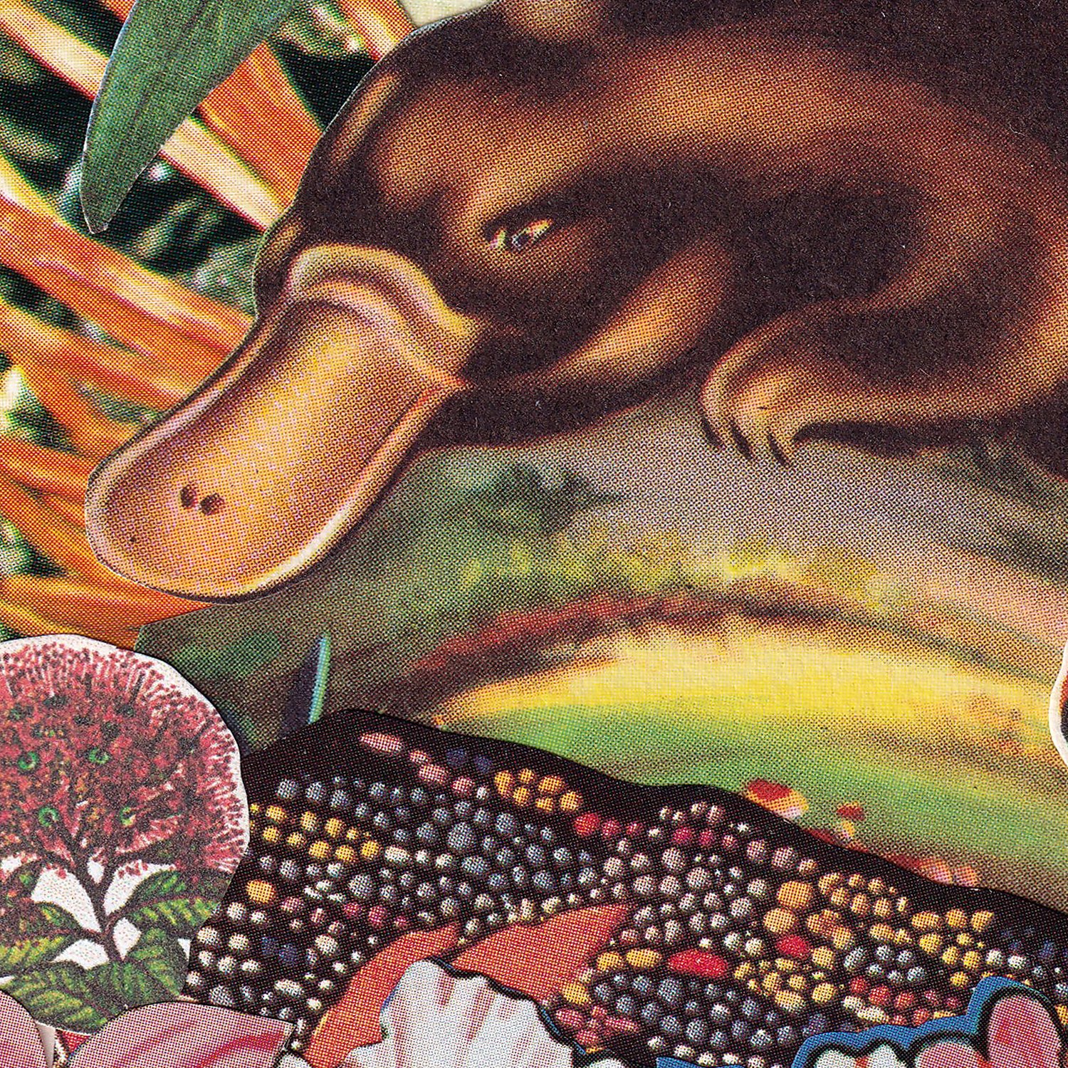 previews of prints for web_squares_0027_Layer 16.jpg