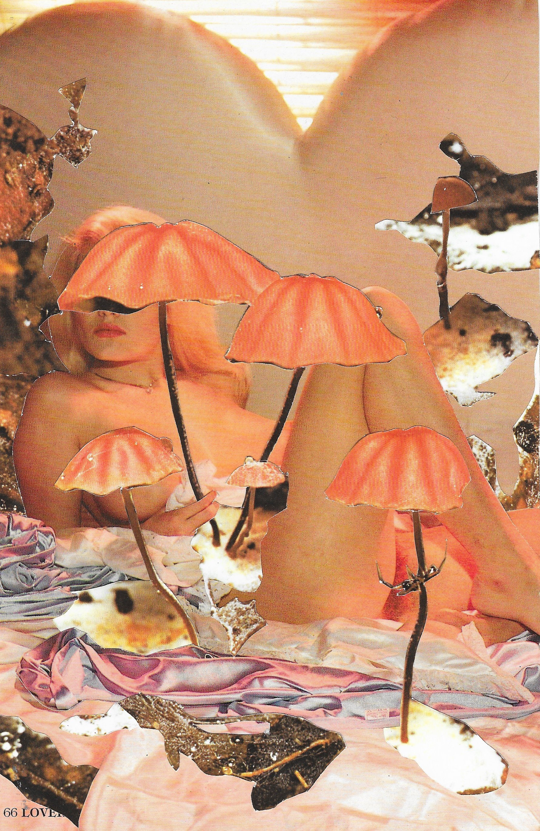 lover 66.jpg