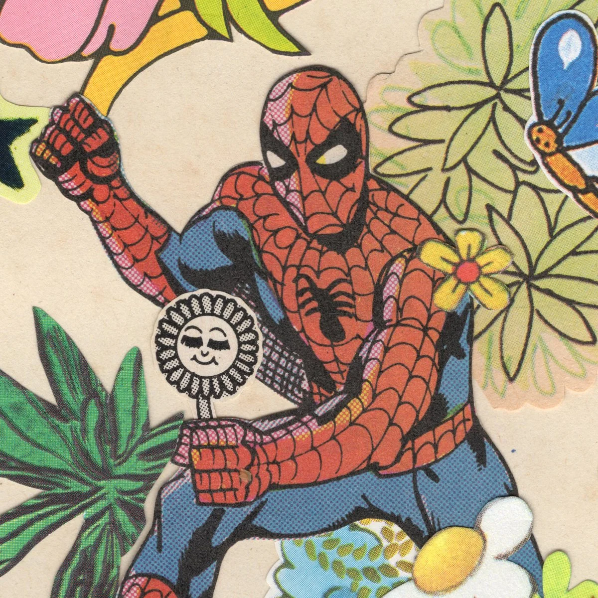 2025_new Prints web versions sq previews_0004_new A3 prints spiderflower.jpg.jpg