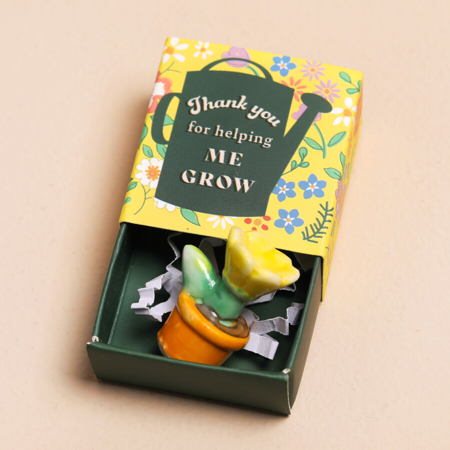 imgi_54_76637-tiny-matchbox-plant-pot-thank-you-for-helping-me-grow-token-4x3a3291copy-900x900.png
