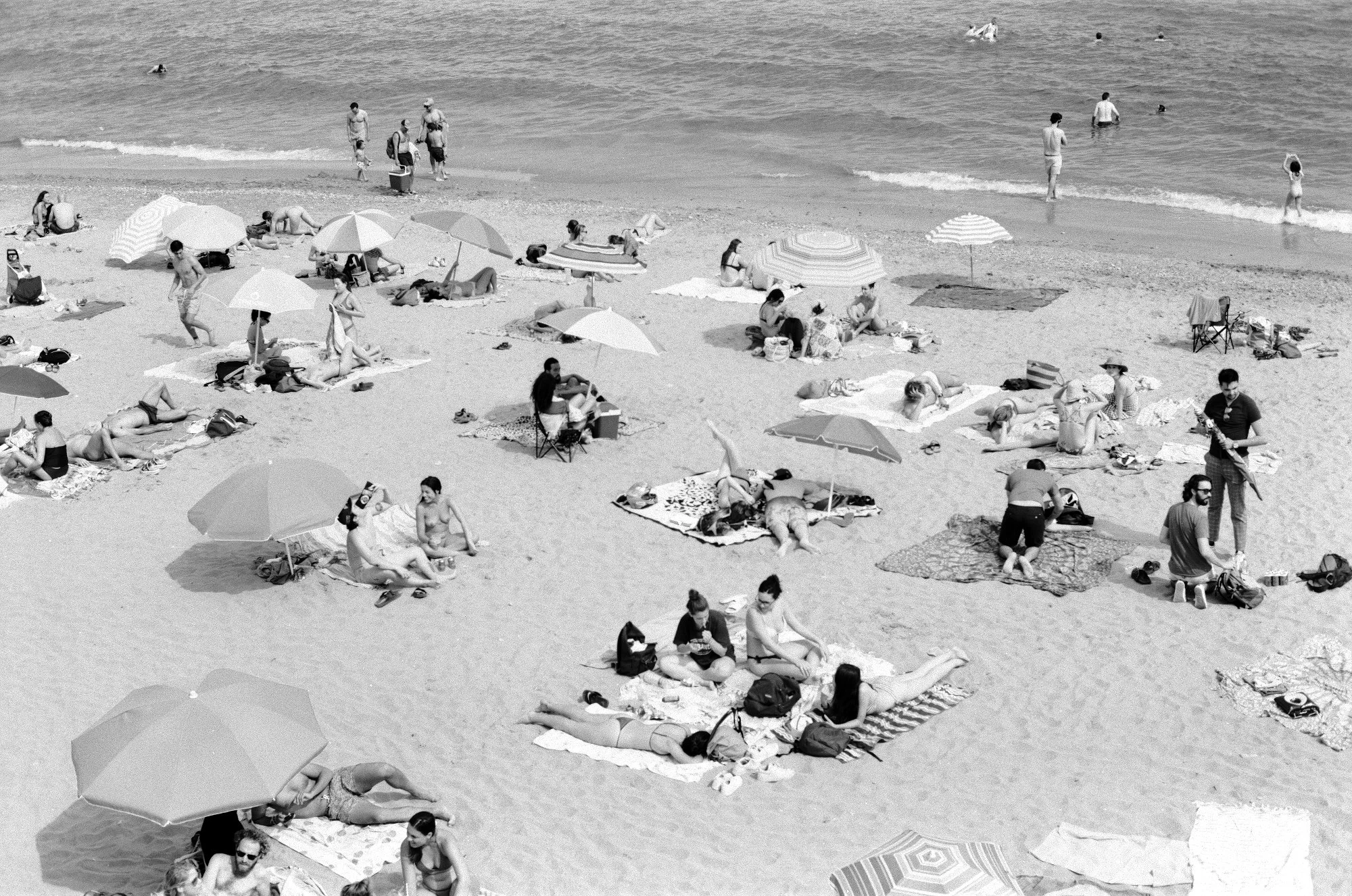 29520035web size.jpg