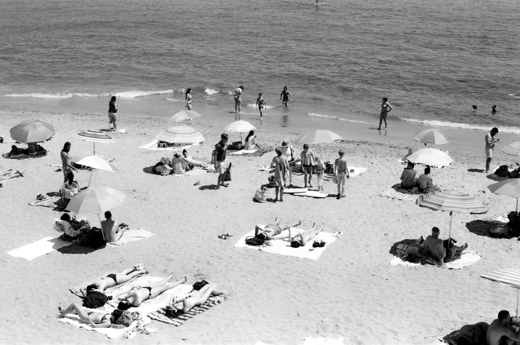 29520021web size.jpg