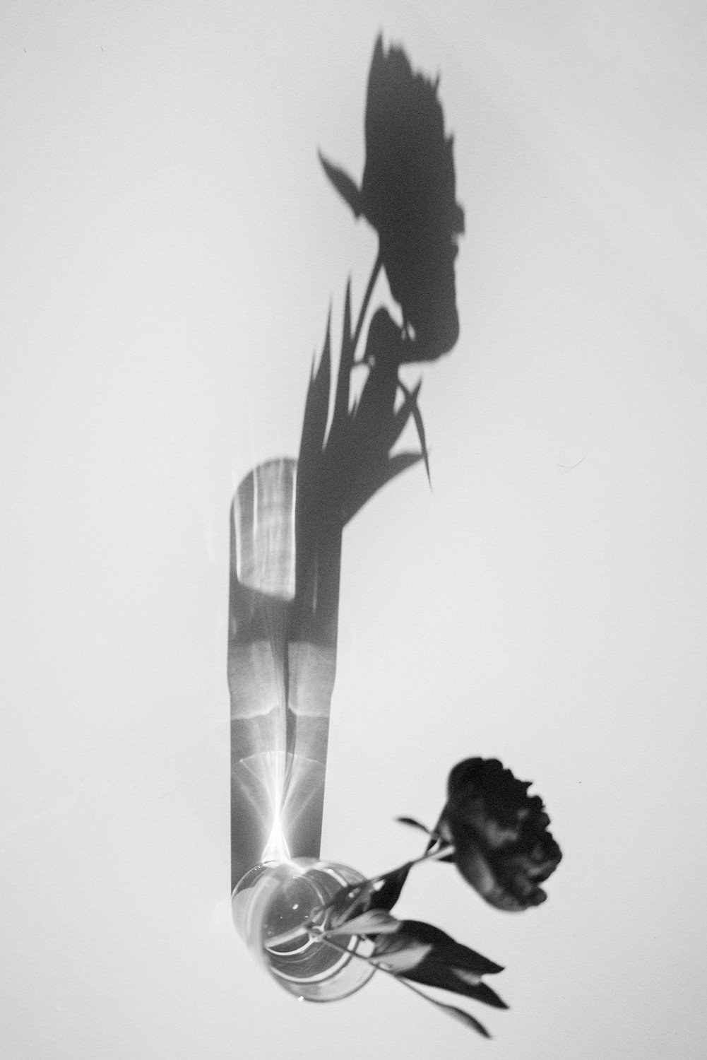 lockdown_personal_orsolyaszabophotography17.jpg