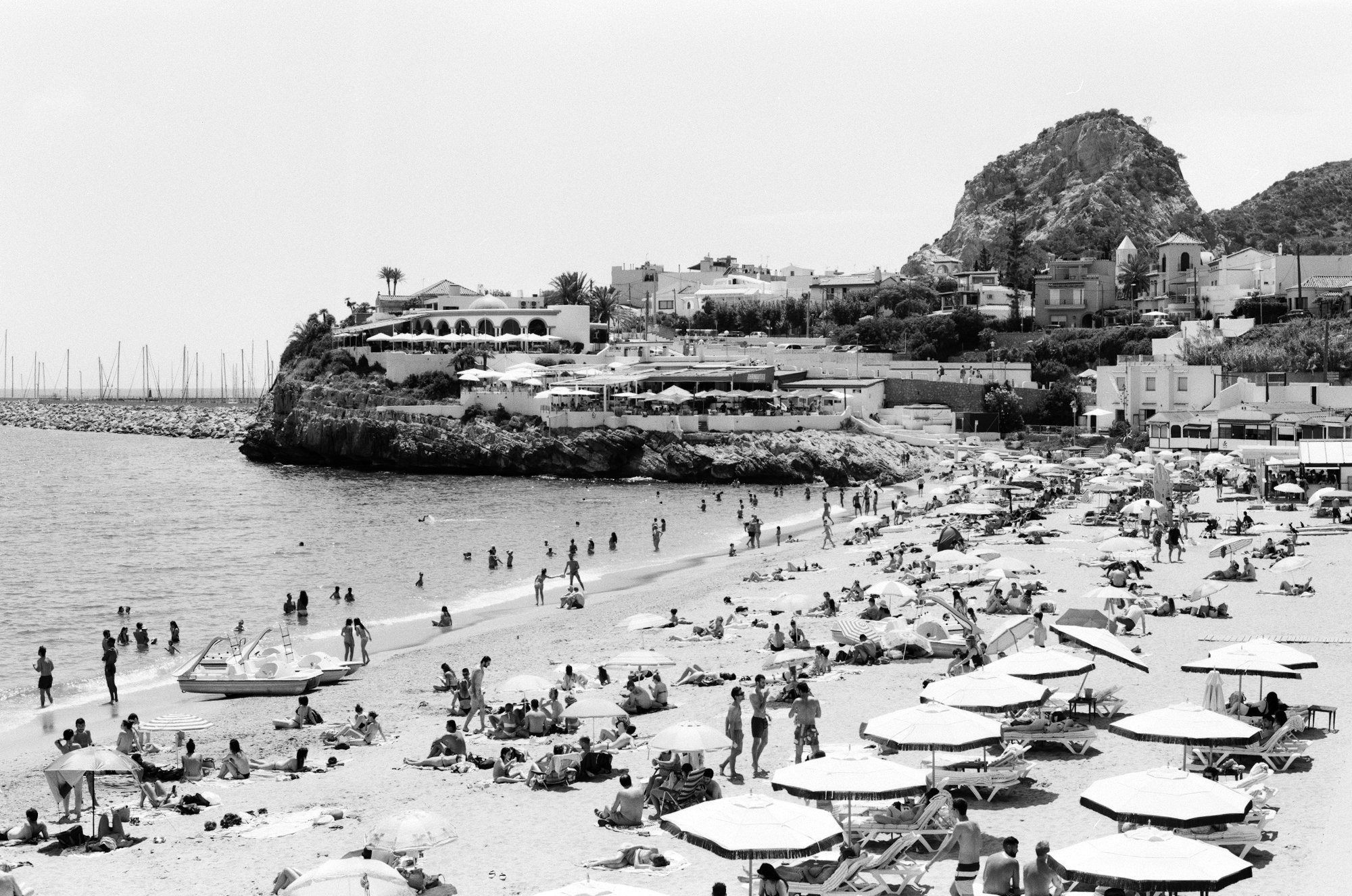 29520020web size.jpg