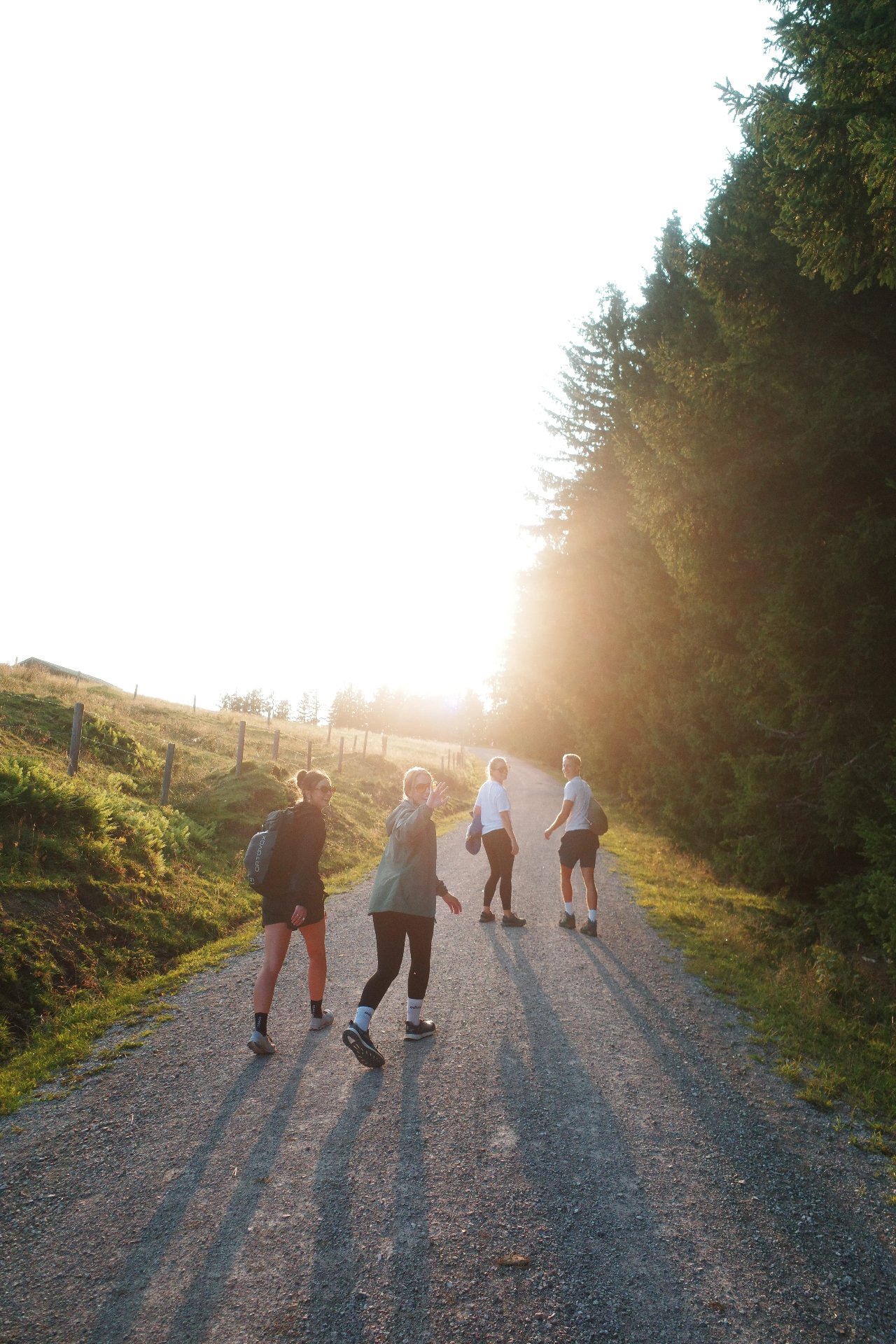 Four team members of MKM | Marketing & Management Agency walking along a gravel path backlit by the evening sun – a team moment during the afterwork.
