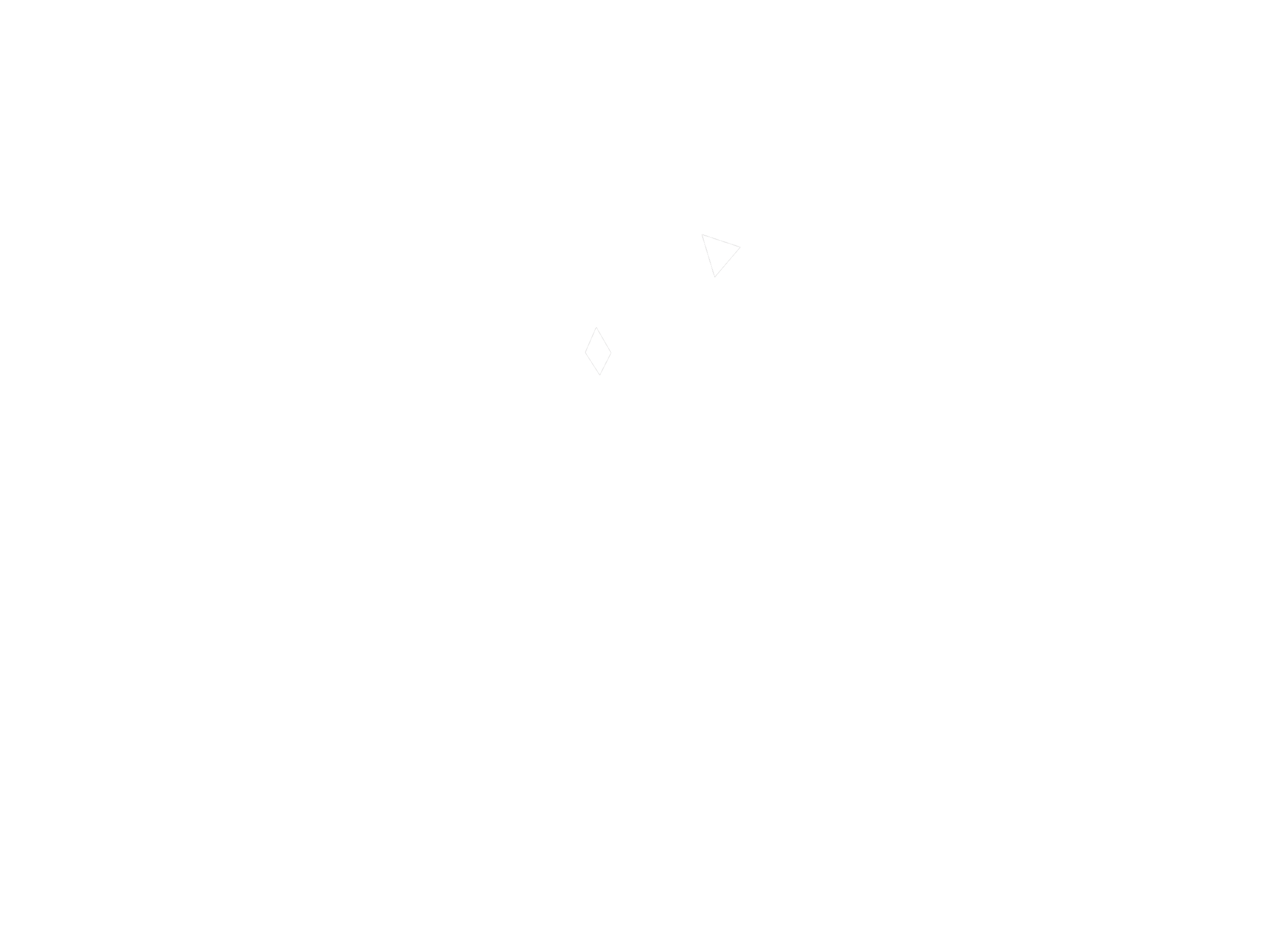 CHASING SLOPES FESTIVAL
