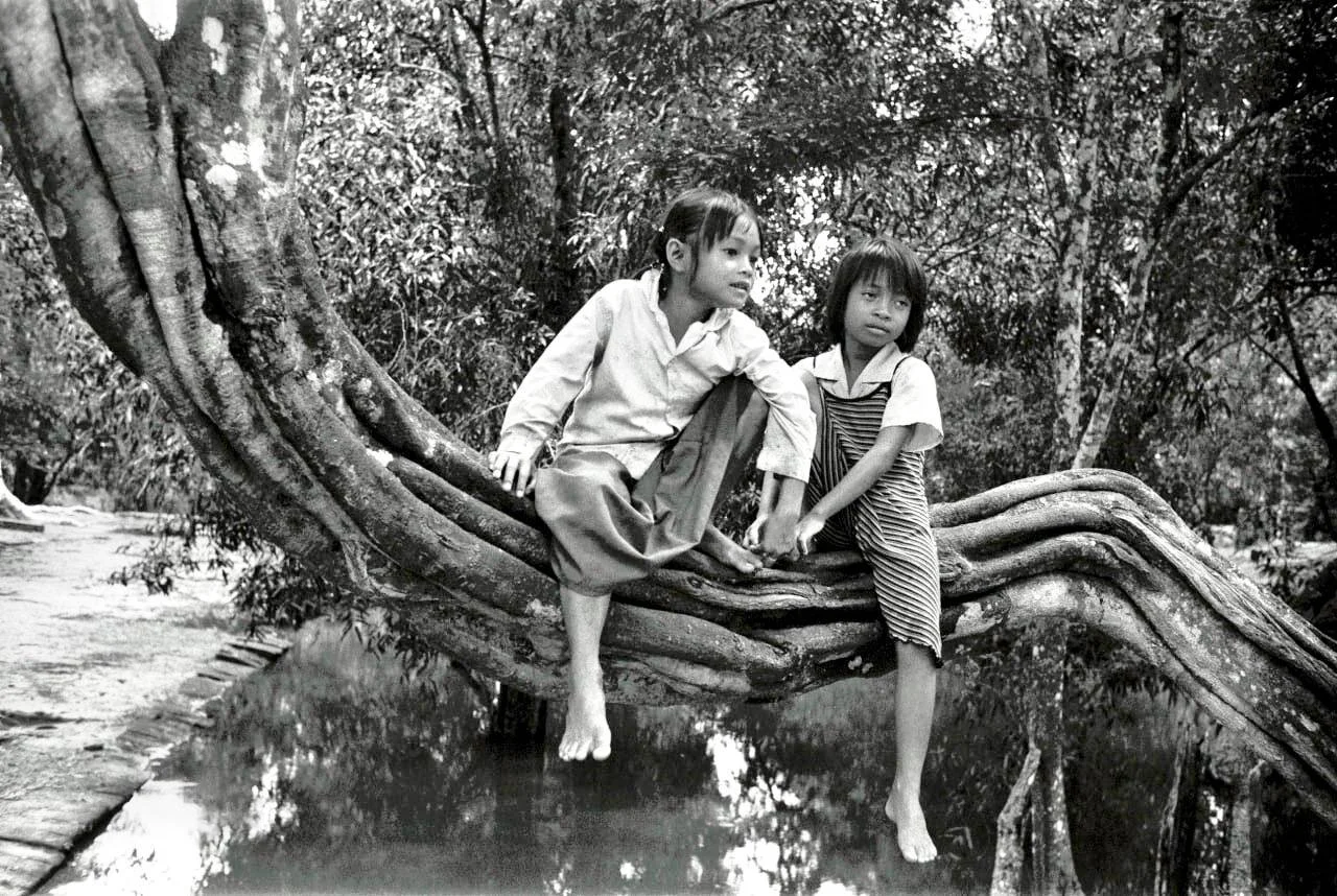 Girls sitting on a branch.jpeg