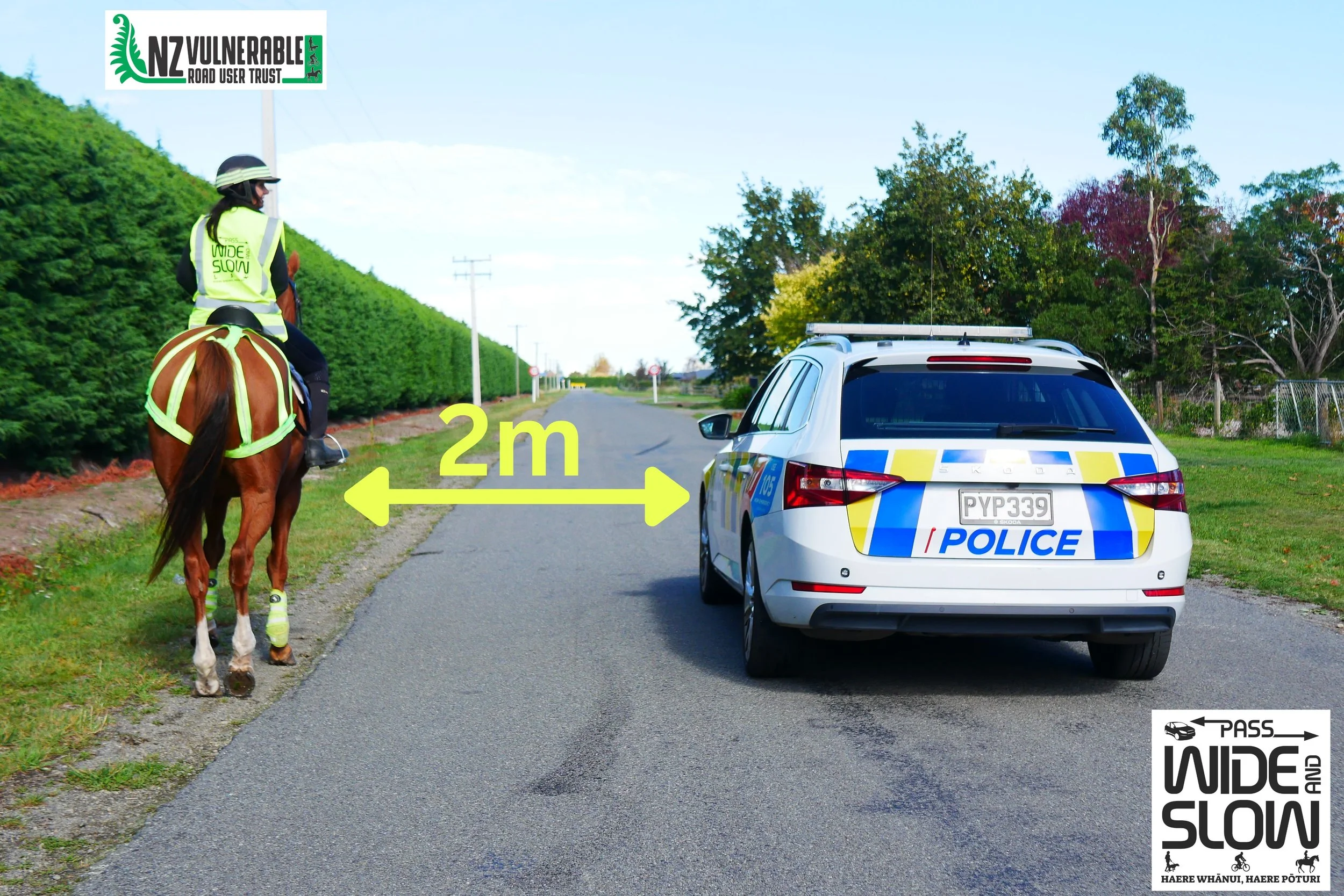 Horse distance (3) (2).jpg