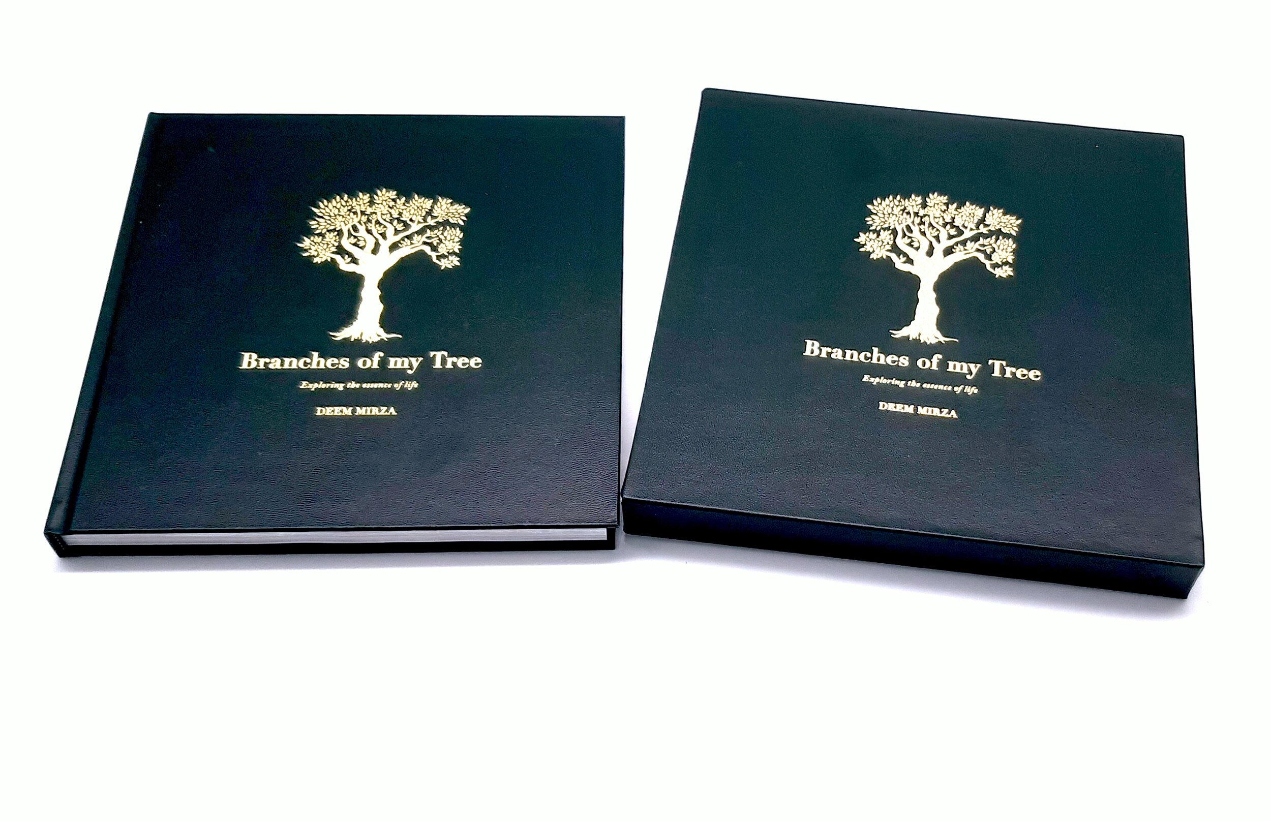 The Branches of my tree Luxury book