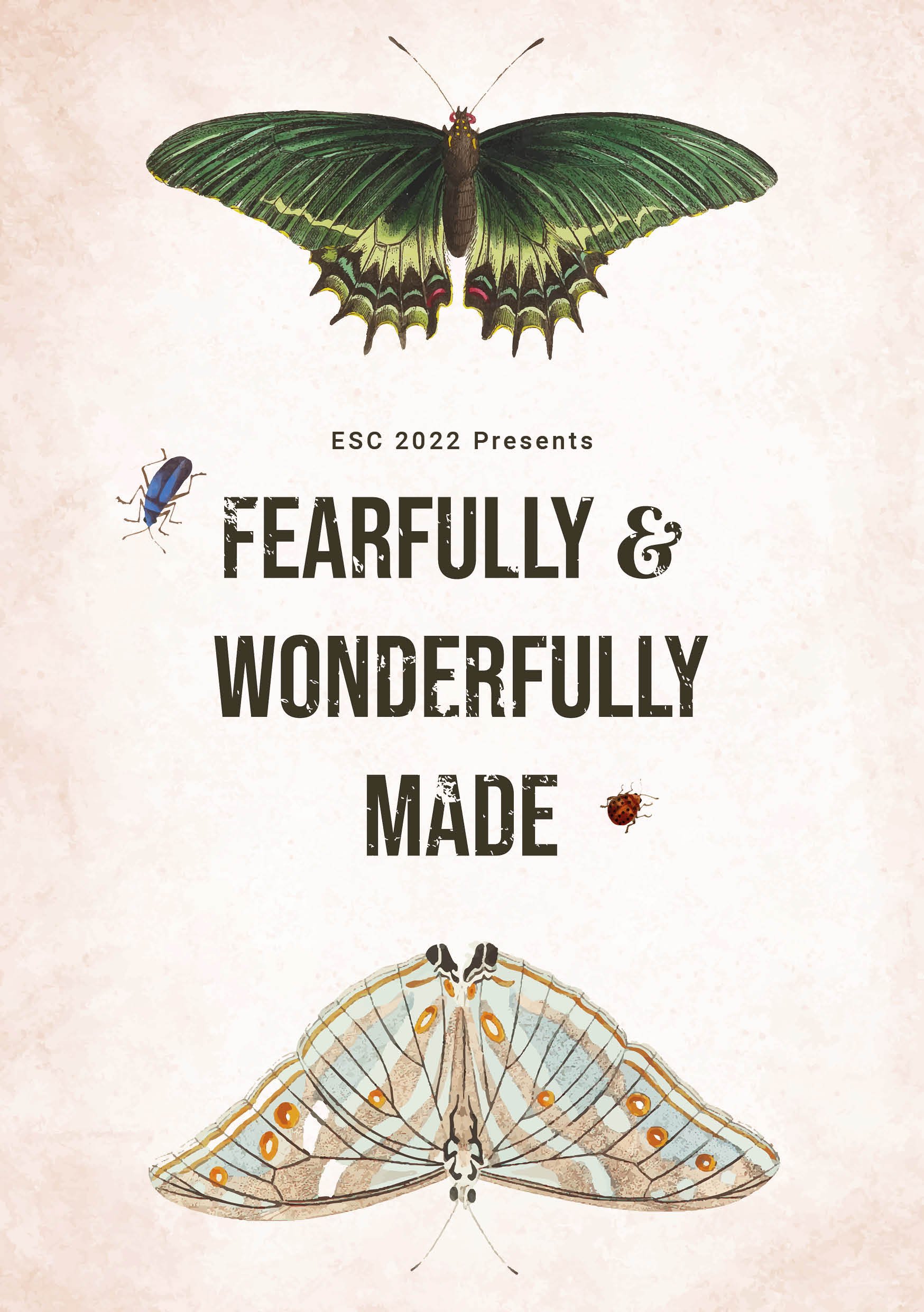 Professional Design Projects