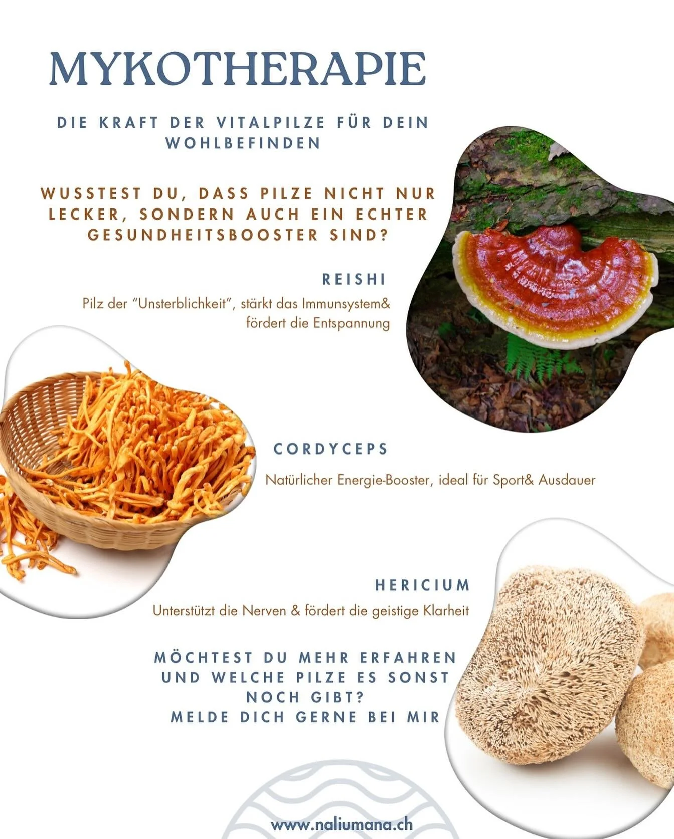🌿 Mykotherapie: Die Kraft der Vitalpilze f&uuml;r dein Wohlbefinden 🍄

Melde dich, wenn du mehr erfahren m&ouml;chtest.

#Mykotherapie
 #Vitalpilze 
#Gesundheit
 #Nat&uuml;rlicheHeilkraft
 #Superfood
 #Reishi
 #Cordyceps
 #Hericium
 #naliumana
 #tc