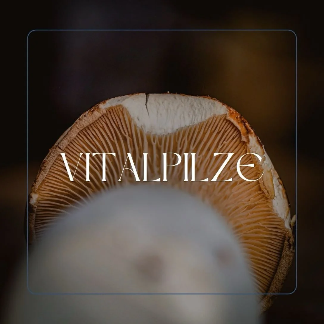 Die Kraft der Pilze - ganz nat&uuml;rlich in deinen Alltag integriert.

Vitalpilze begleiten die Menschen in verschiedenen Kulturen bereits seit Jahrhunderten. Heute entdecken immer mehr Menschen die besonderen Eigenschaften dieser faszinierenden Pil