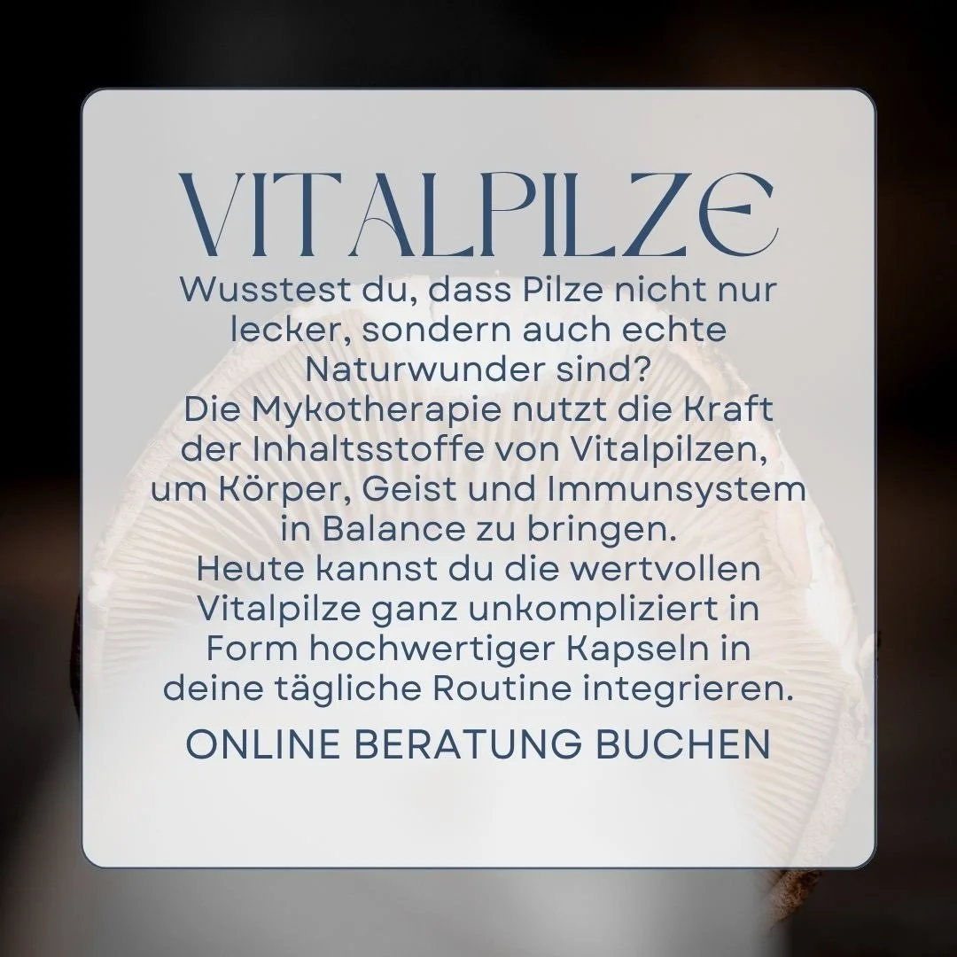 Die Kraft der Pilze - ganz nat&uuml;rlich in deinen Alltag integriert.

Vitalpilze begleiten die Menschen in verschiedenen Kulturen bereits seit Jahrhunderten. Heute entdecken immer mehr Menschen die besonderen Eigenschaften dieser faszinierenden Pil