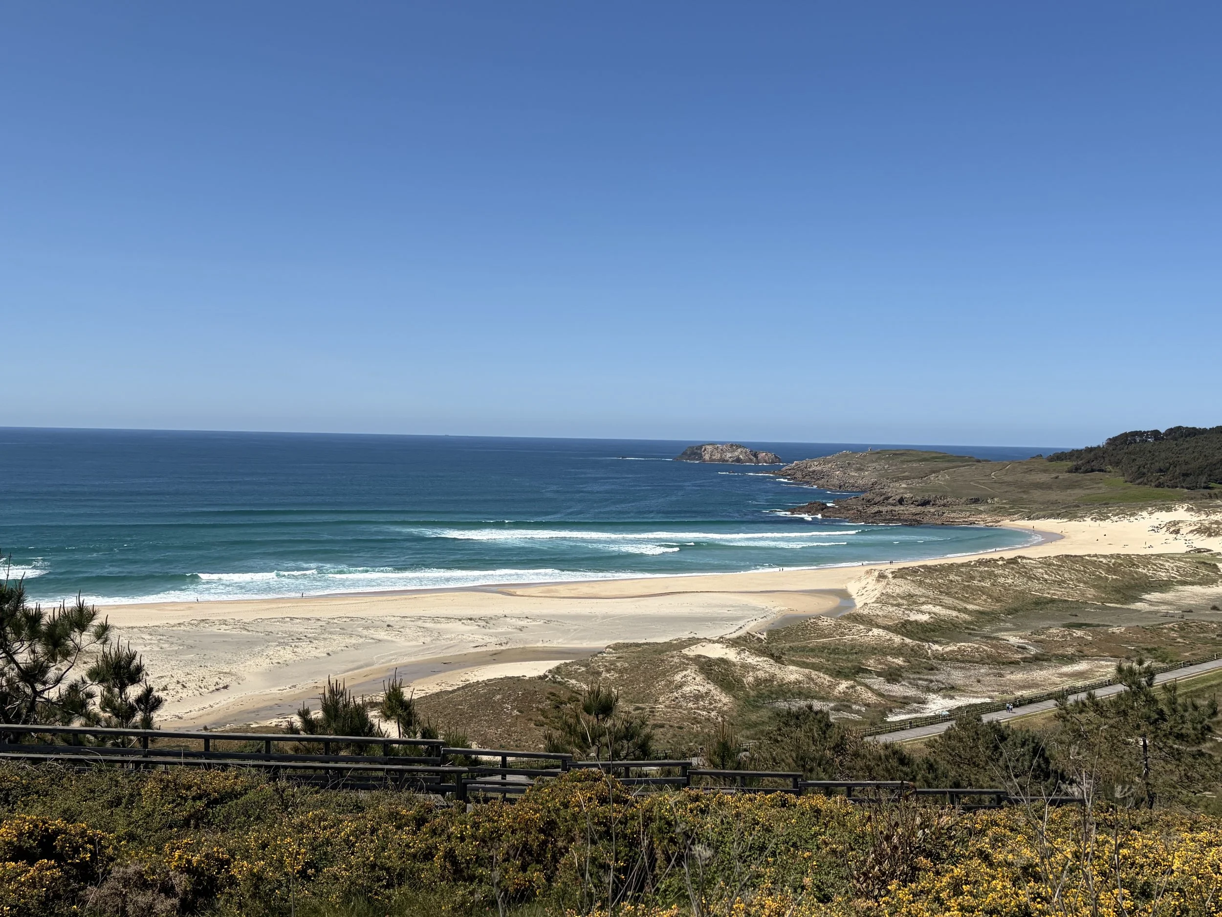Der Blick auf einen Strand mit Sand, Wellen und Felsen im Meer, unter einem blauen Himmel, mit Büschen im Vordergrund.