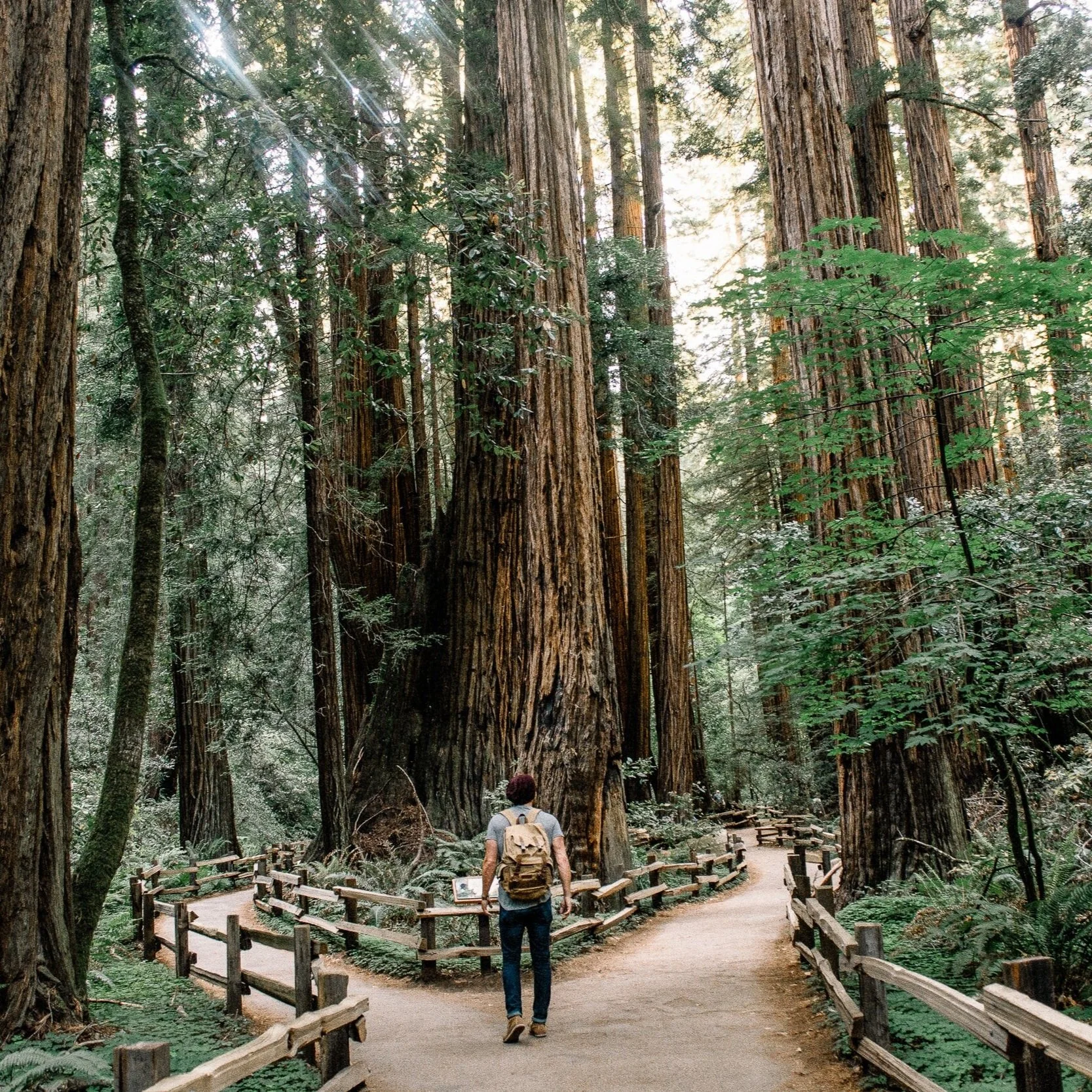unsplash-image-J3JMyXWQHXU.jpg
