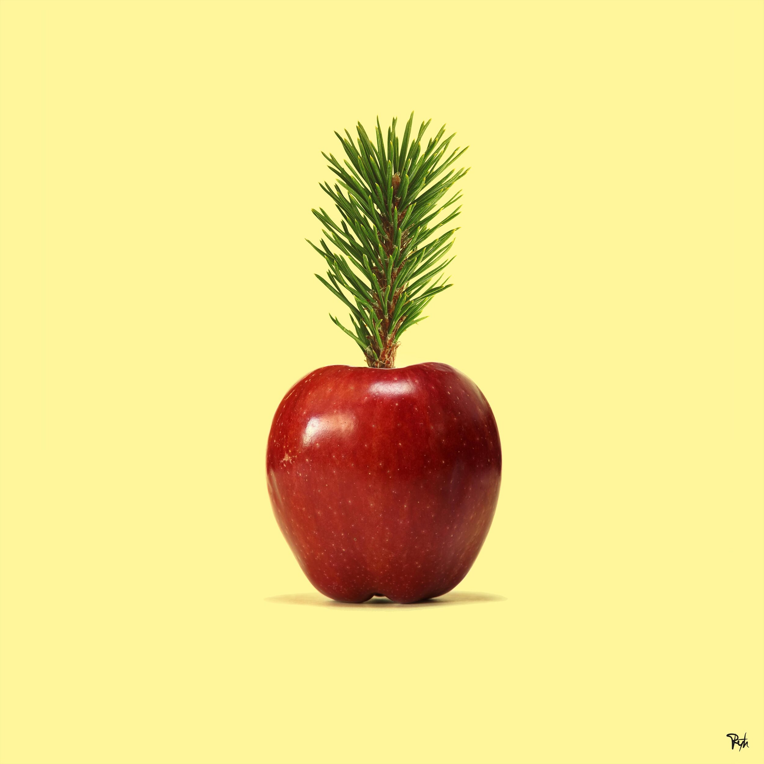 Pin Apple