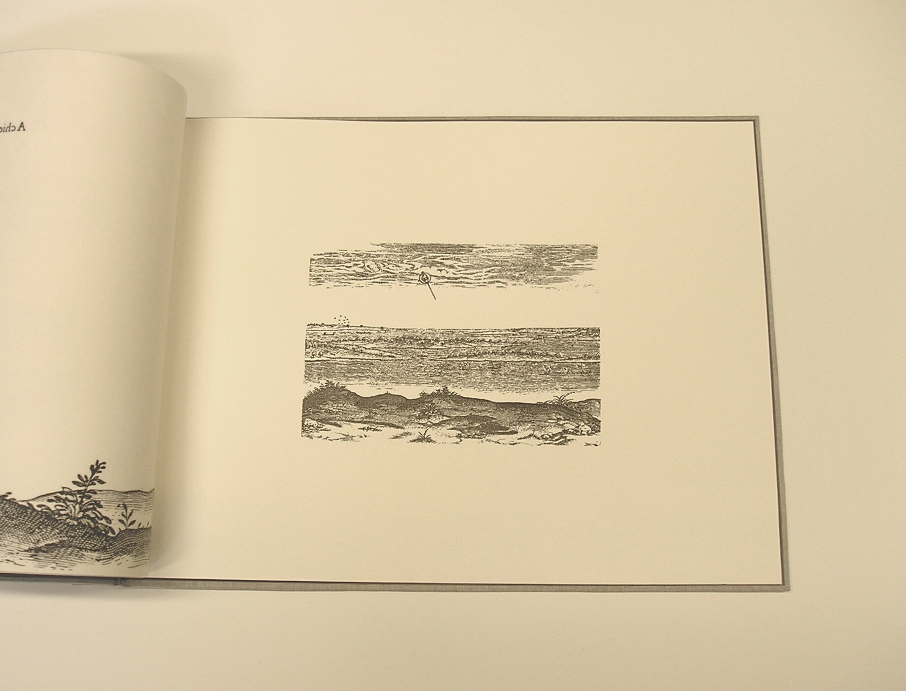 Briefe and True, Lost Landscapes, 2005.