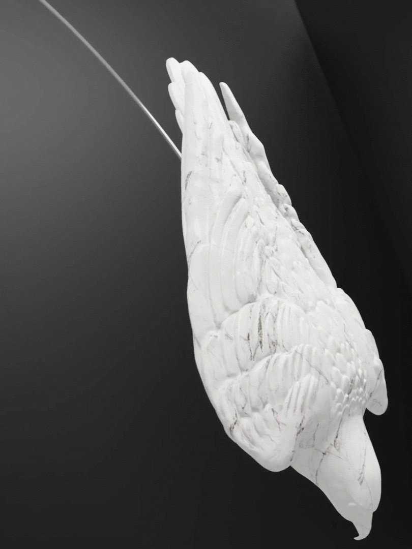 white+falcon-102+%28dragged%29.jpg