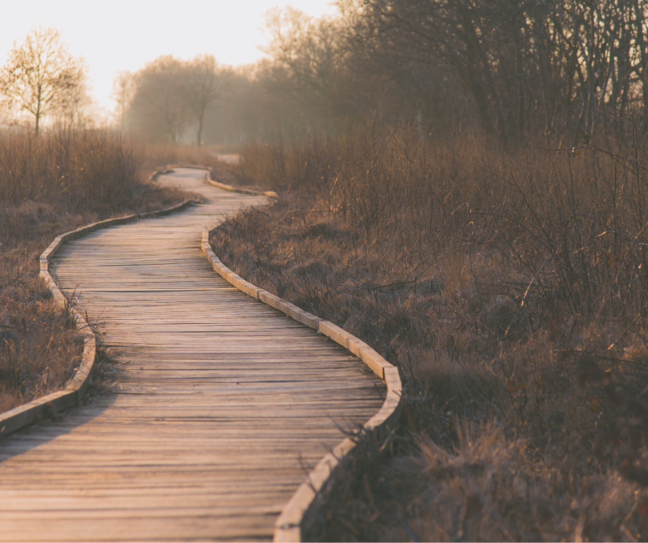 ne te laisse pas tomber.png