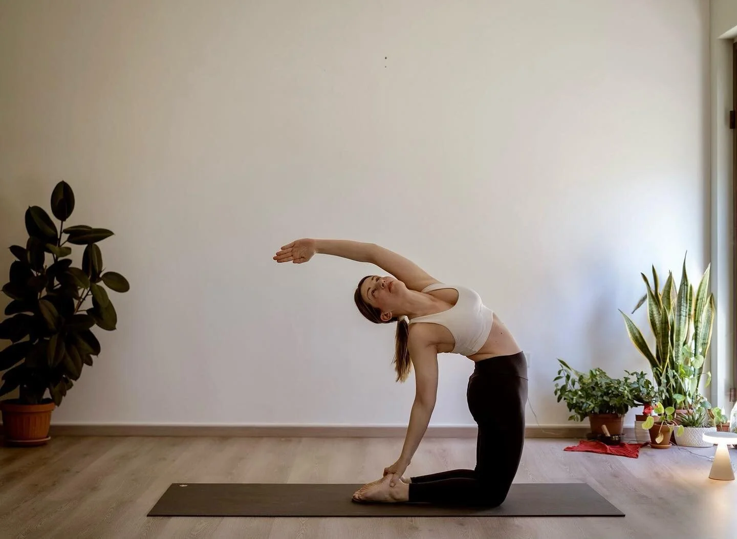 Begin the change.
@navakarana 
#navakarana #navakaranavinyasa #navakaranastudio #yoga #yogaitalia #abruzzo