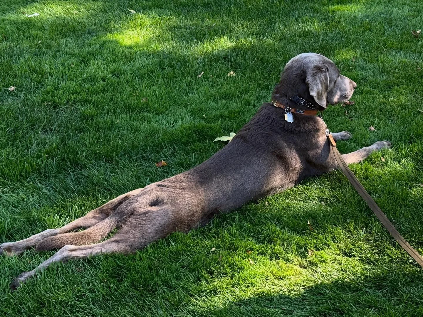 Commence the weekend relaxation. 

#beergarden #flxbrewery #genevany #flxbeer #ardennesbrewery #ardennesbrewing #breweryardennes