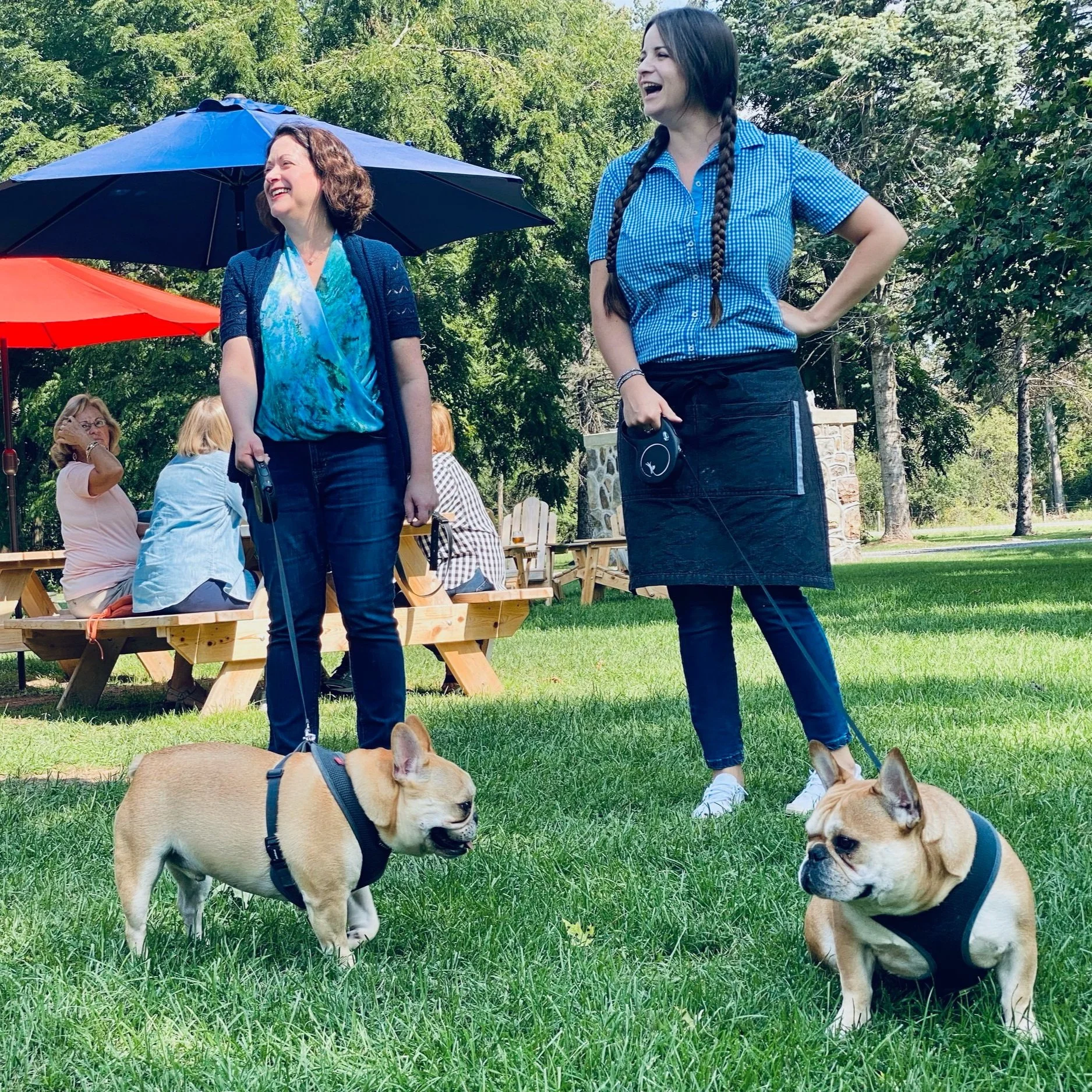 Barley and Hops Beer Garden Brewery Ardennes Dog Friendly