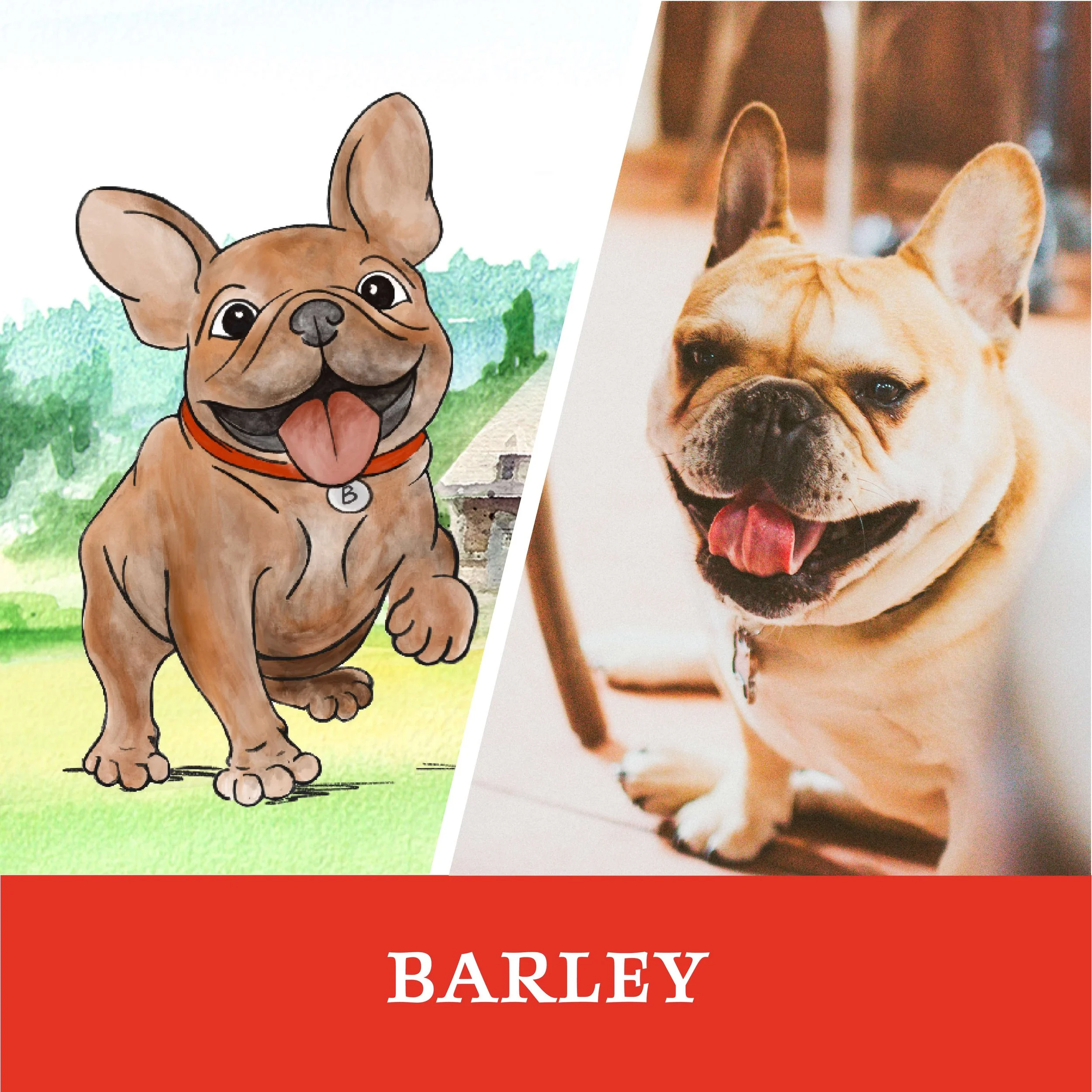 Barley Brewery Ardennes