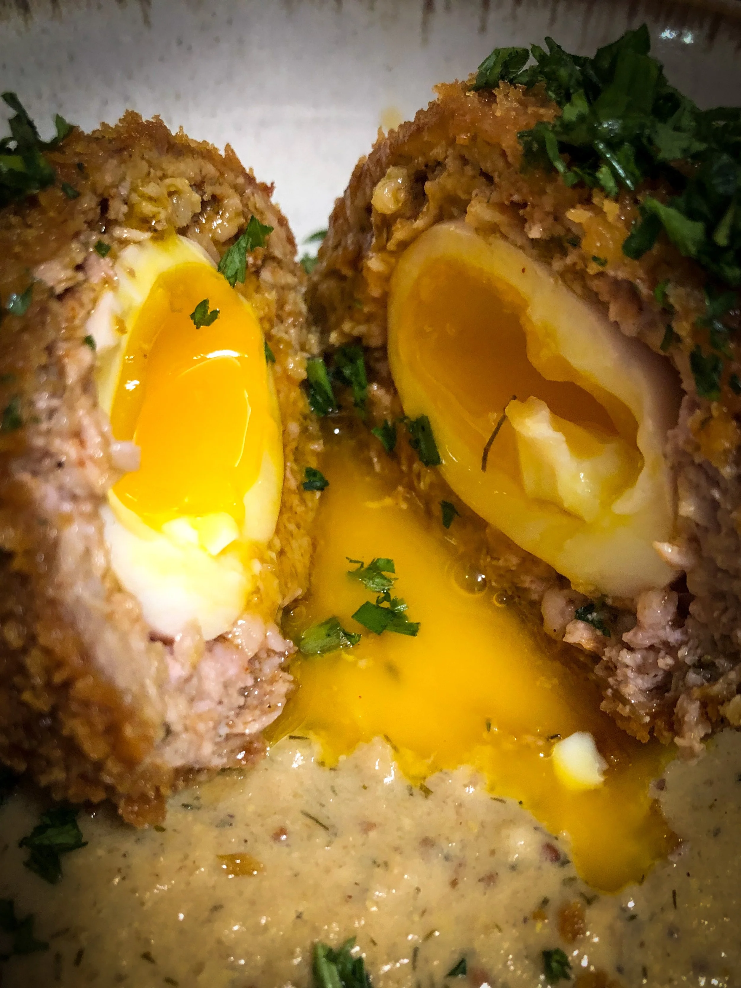 Scotch Egg, mustard, dill & roasted shallot crema
