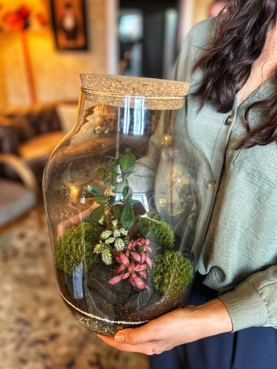 Create a terrarium. Make a terrarium worth £125 for £98. Mindful