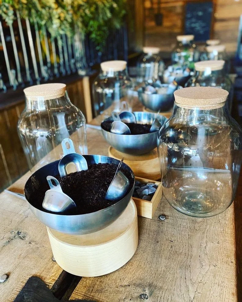 Create a terrarium. Make a terrarium worth £125 for £98. Mindful