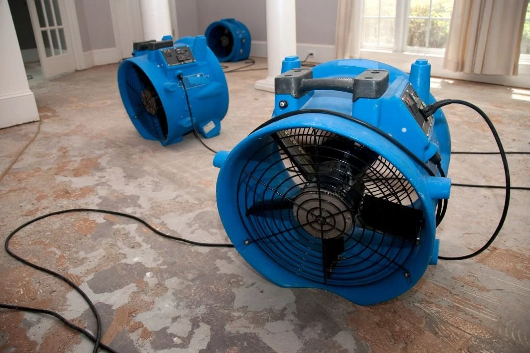 A Homeowner's Guide to Water Damage Repair and Restoration