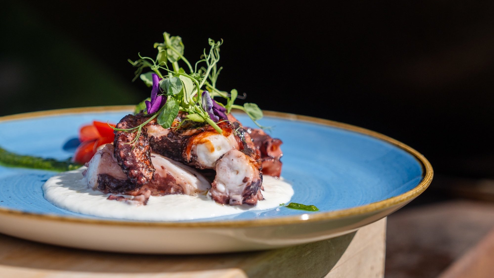 Gegrillter Oktopus mit Burrata, Restaurant il Castagno Mugena, Tessin