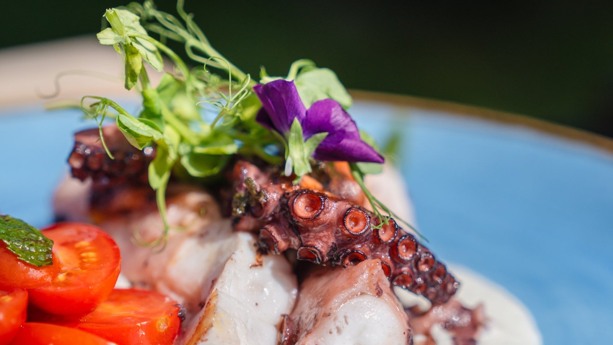 Gegrillter Oktopus mit Burrata, Restaurant il Castagno Mugena, Tessin