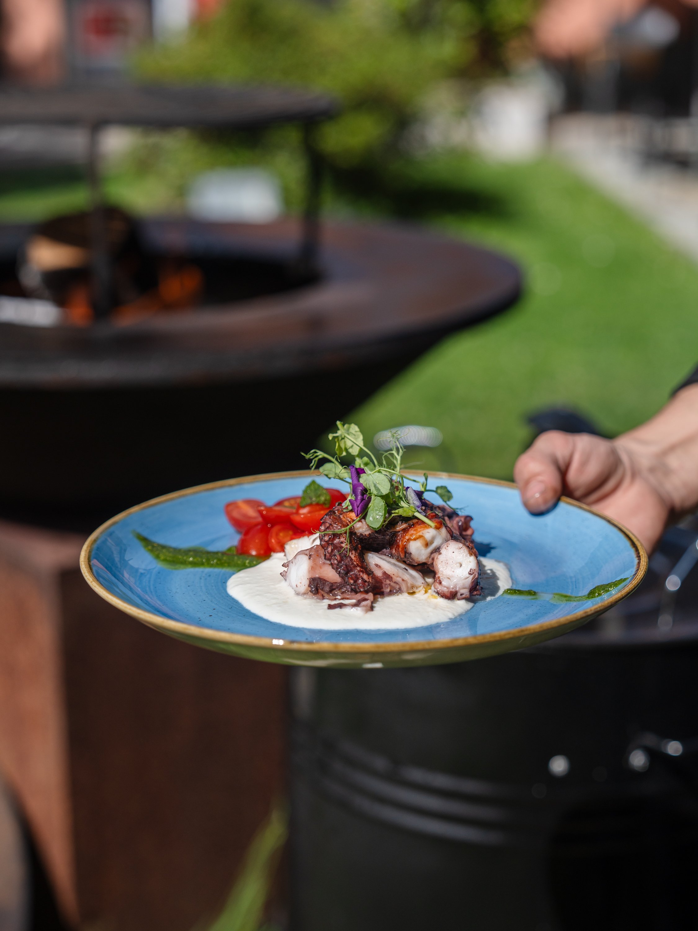 Gegrillter Oktopus mit Burrata, Restaurant il Castagno Mugena, Tessin