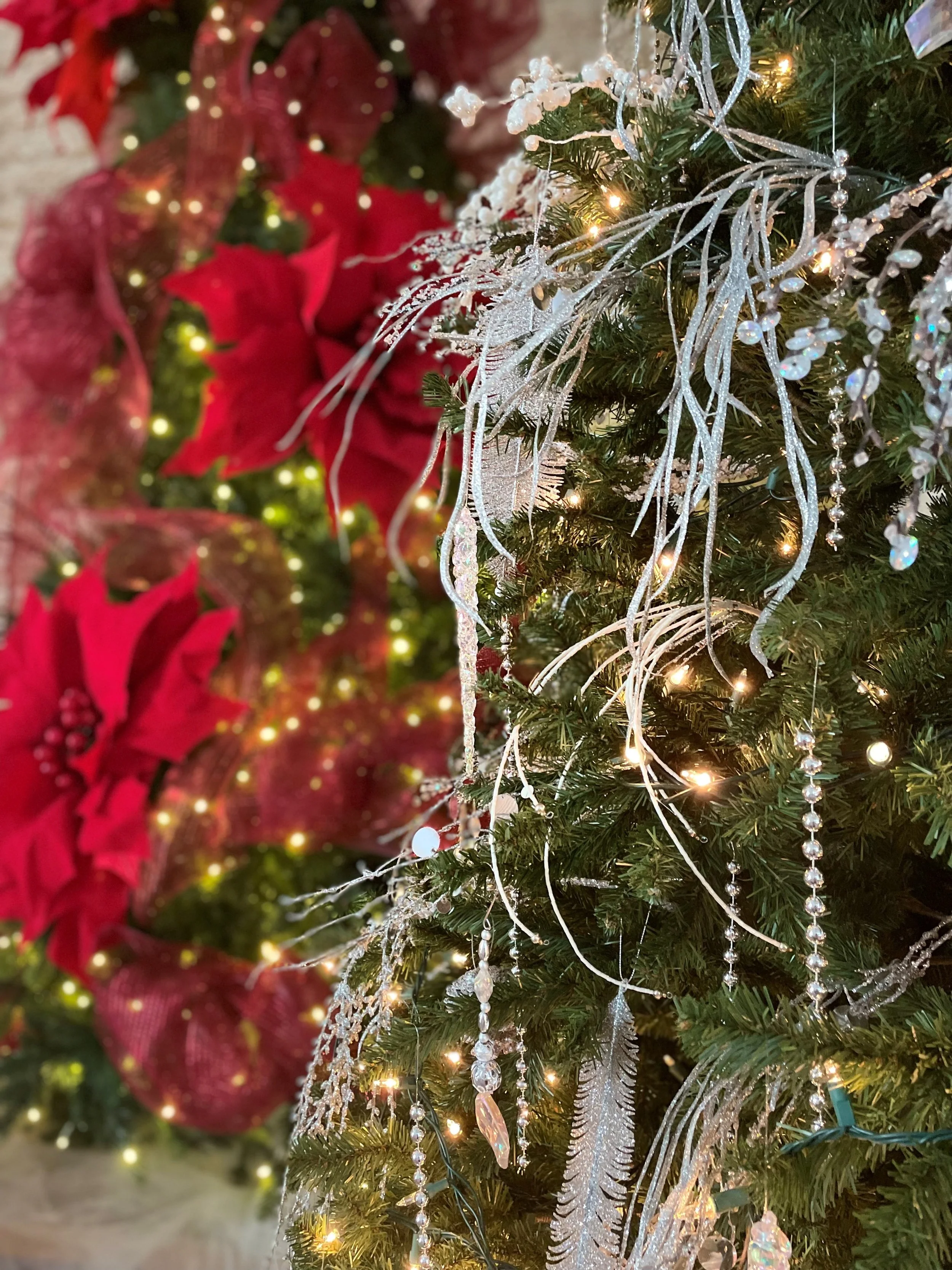 Christmas Greeting