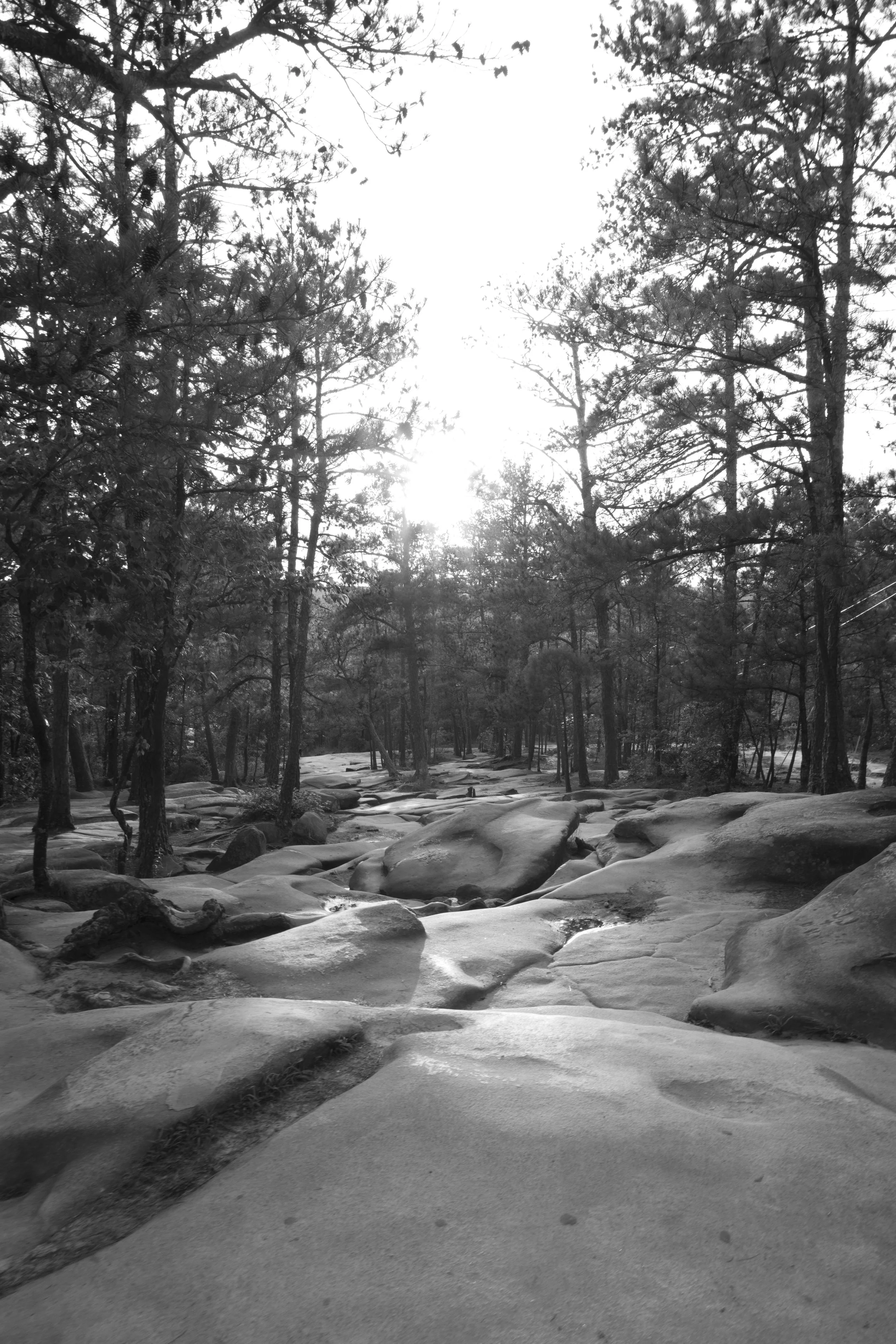 L1001922.jpg