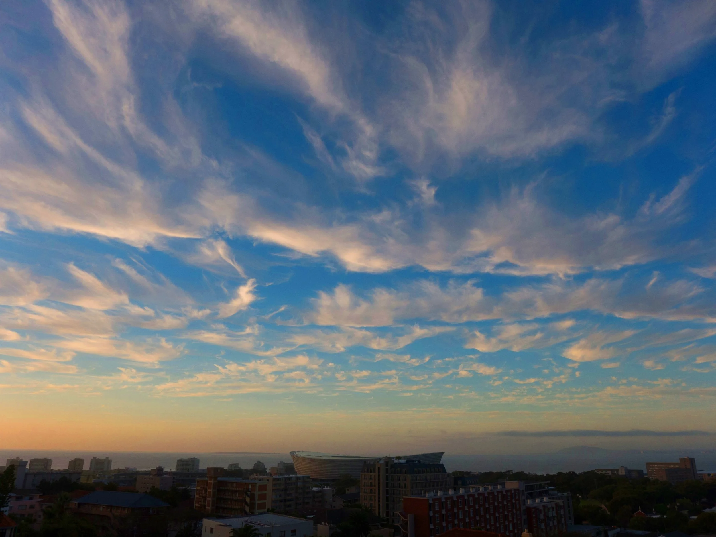 L1000987.jpg