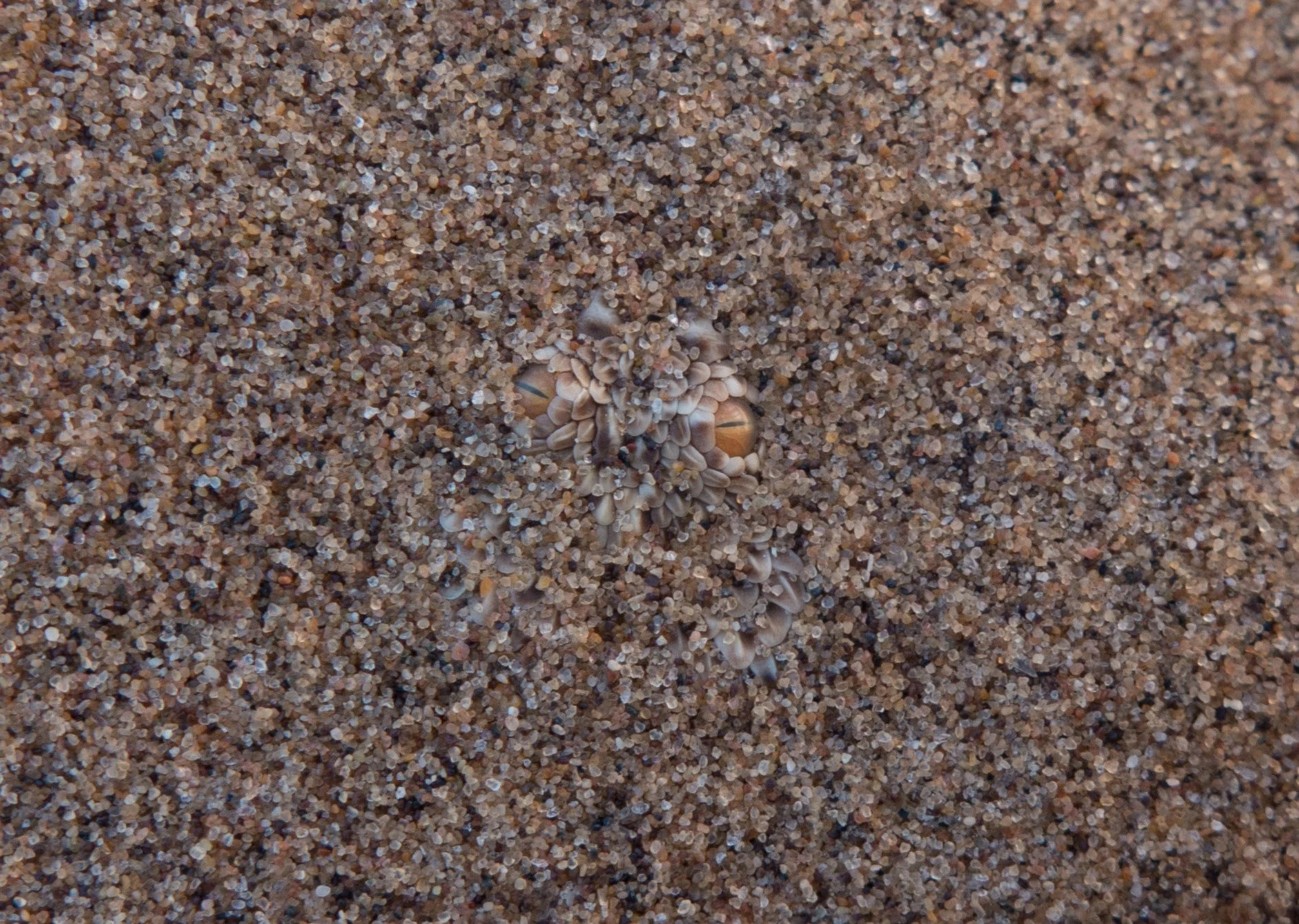 L1000623.jpg