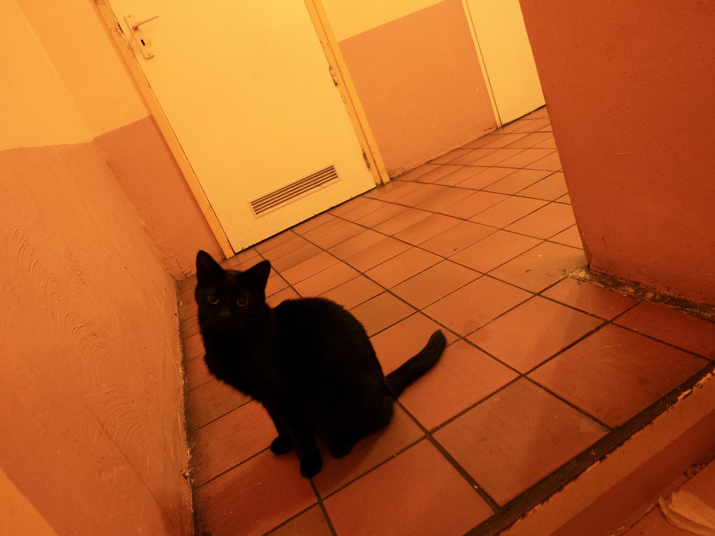 L1090070.jpg