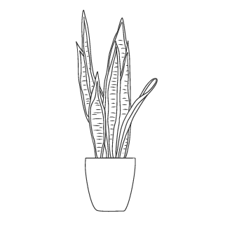 Line drawing of a potted plant with tall, pointed leaves.