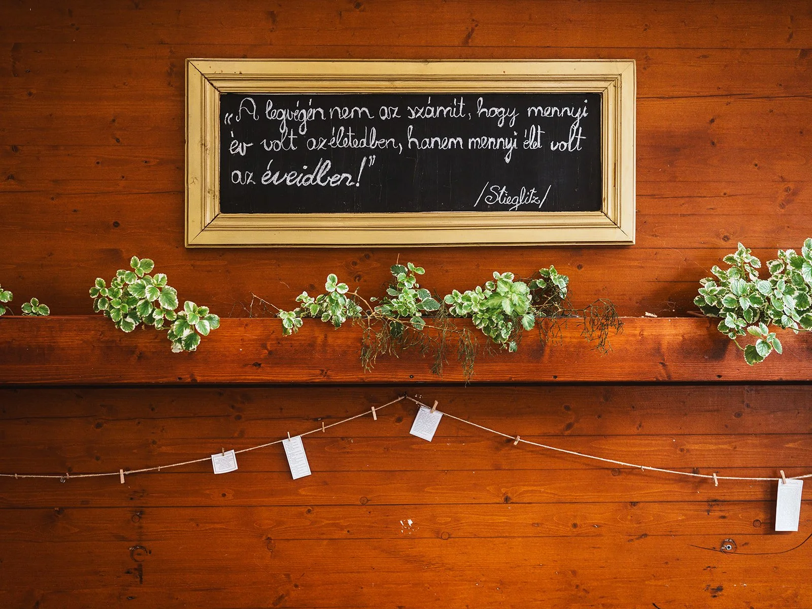 Anna és Tamás_Café Ponyvaregény-73_websize.jpg