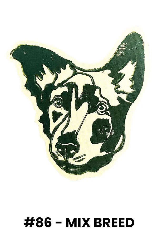 Black and white illustration of a mixed breed dog with one eye and one ear, labeled '#86 - MIX BREED'.