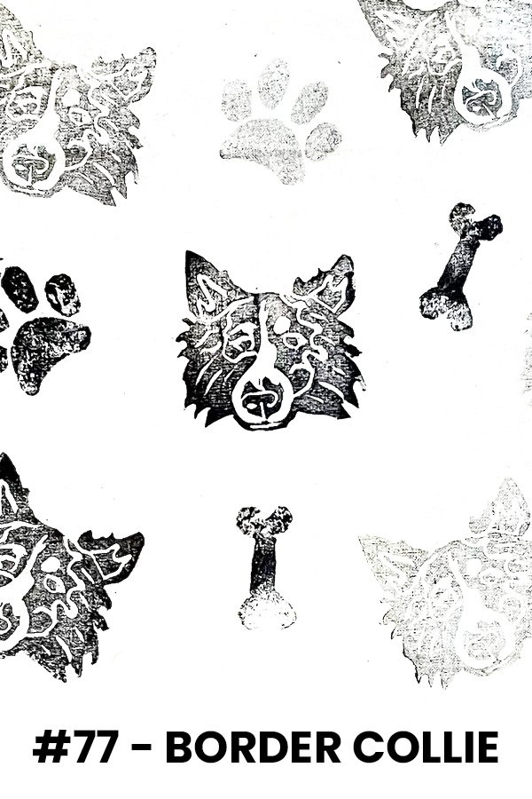 Pattern of Border Collie dog faces and bone shapes on a white background with the label '#77 – BORDER COLLIE' at the bottom.