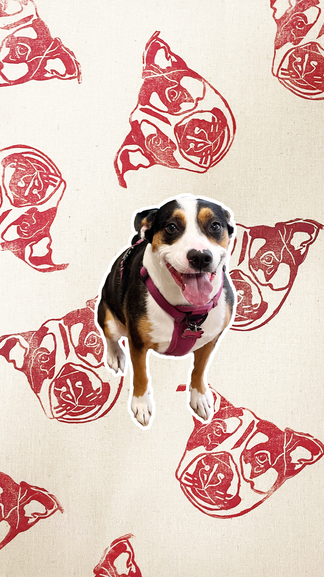 NALA.png (Copy)