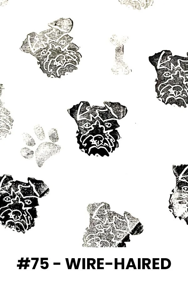 Pattern of wire-haired dog faces and paw prints in black and gray on a white background with the label '#75 - WIRE-HAIRED' at the bottom.