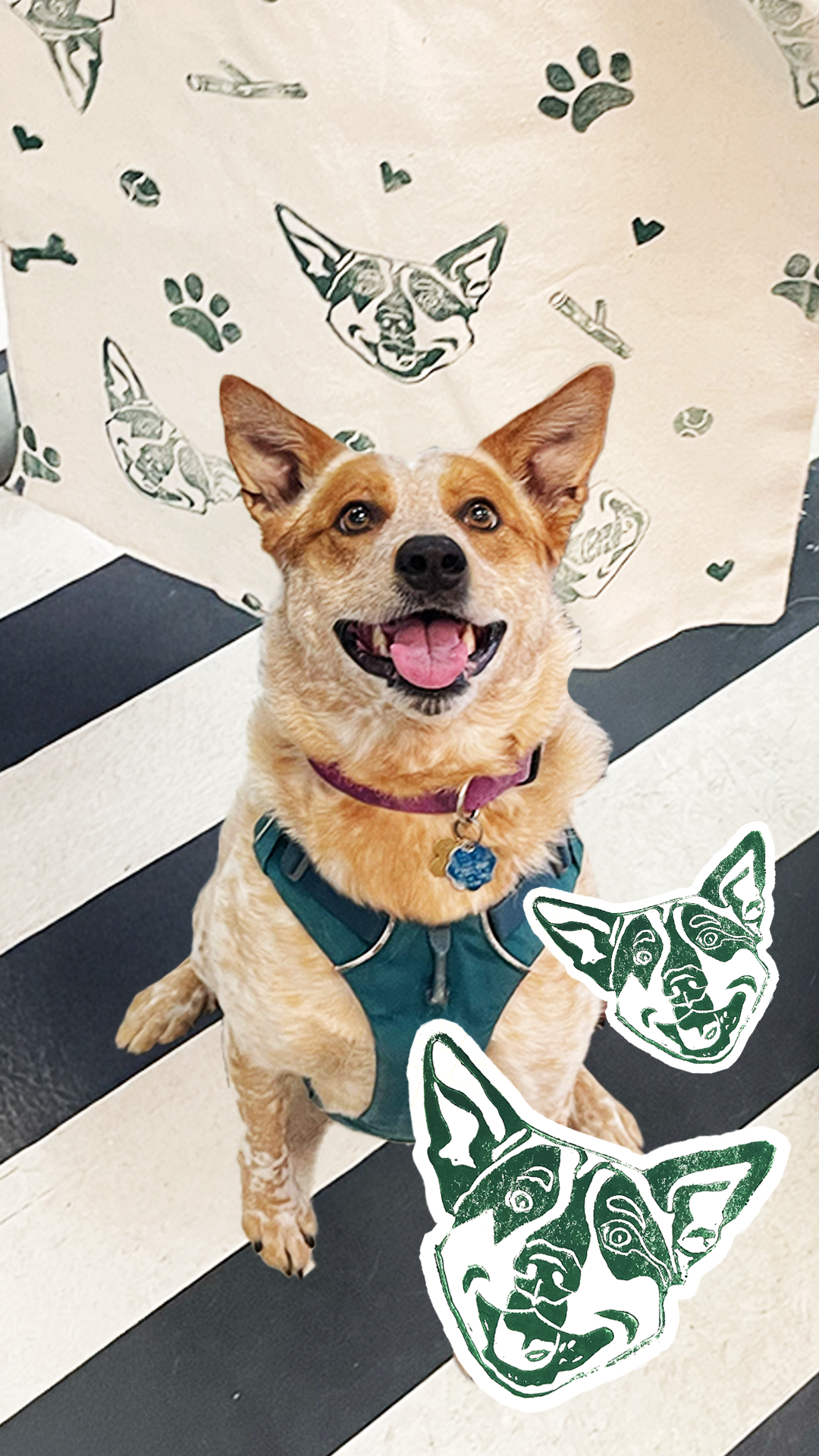 HEELER.png