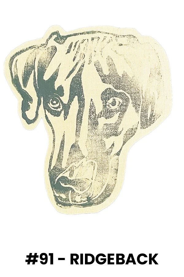 Stylized illustration of a dog's face with a serious expression, labeled "#91 - Ridgeback".